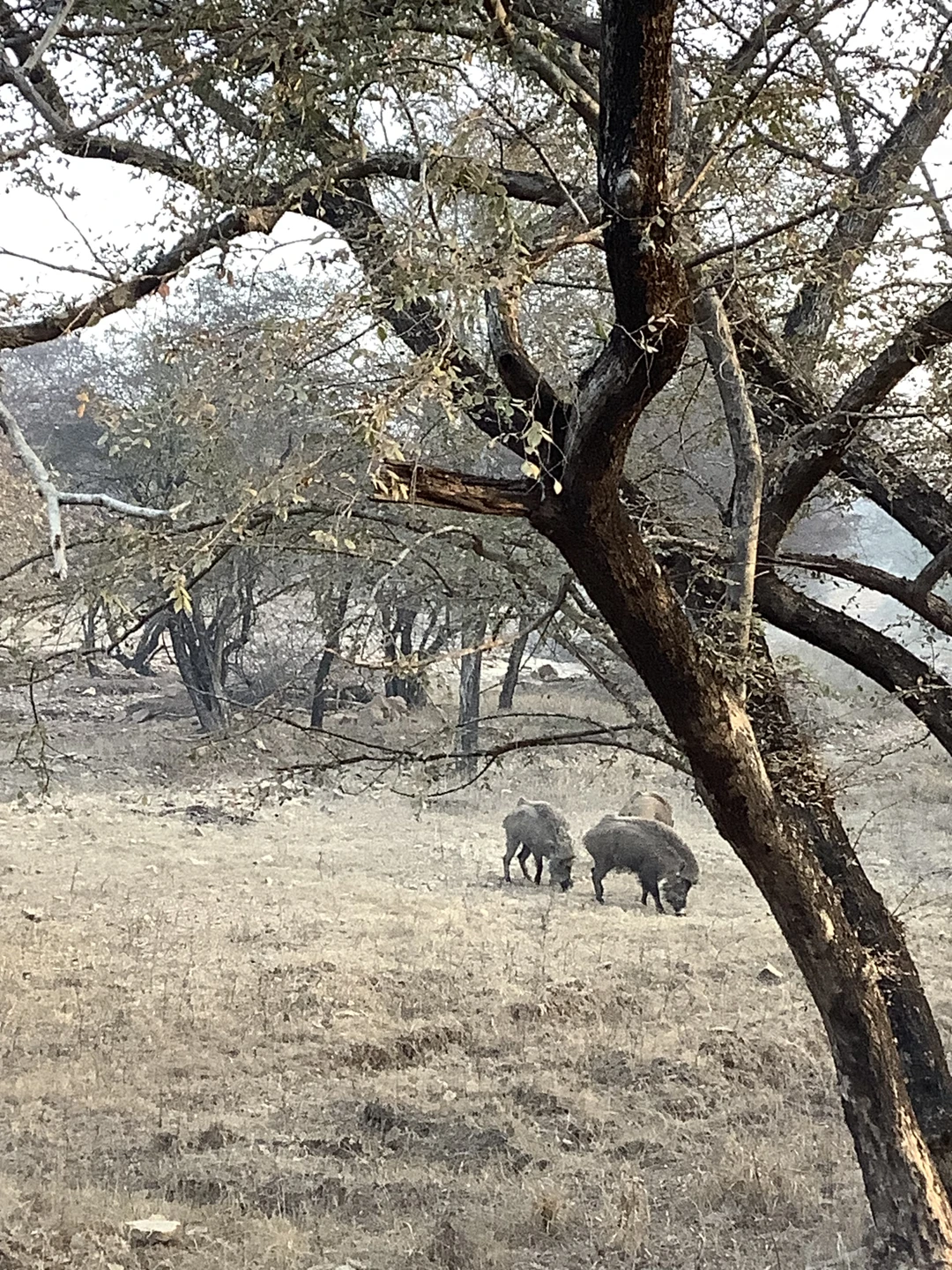 Огромное спасибо Анису- он супер гид и замечательный человек!!!