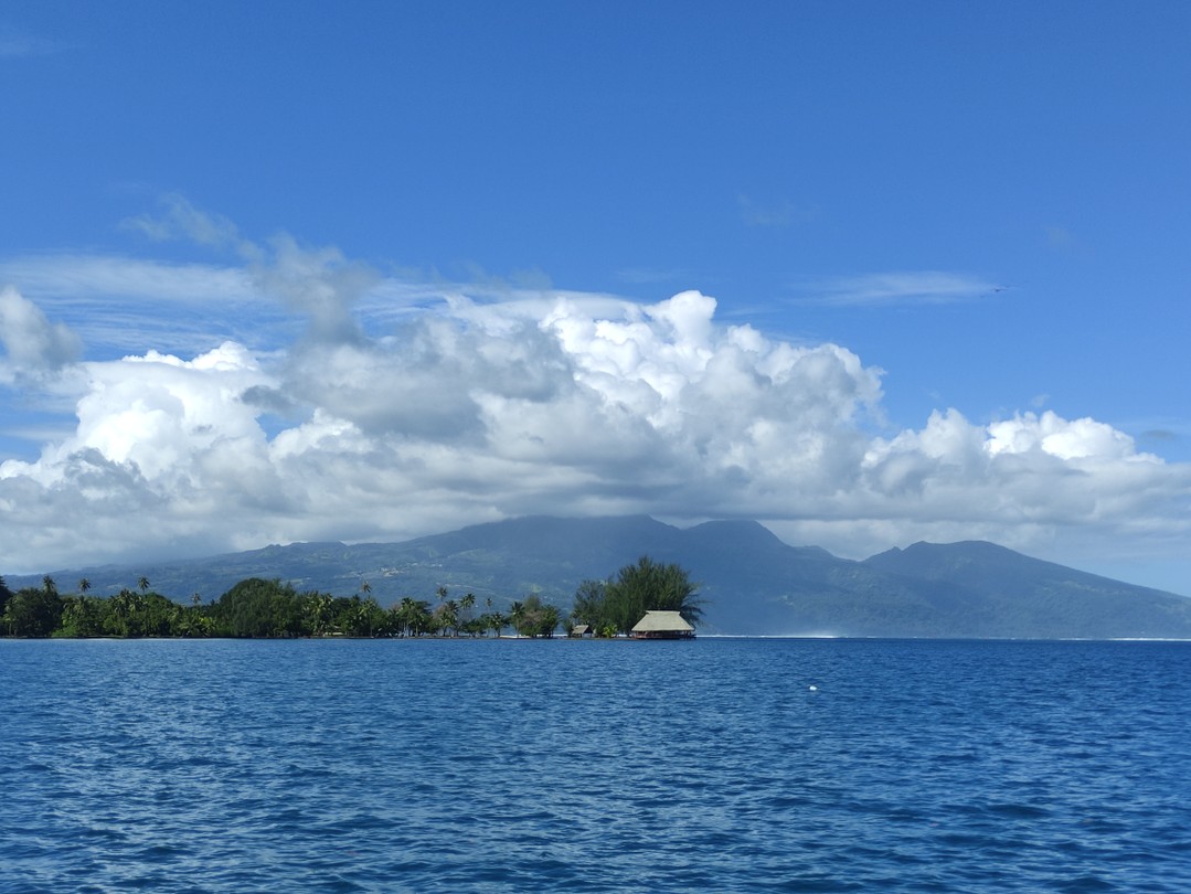 Взяли на один день ознакомительную экскурсию вокруг Таити. Для знакомства с островом более чем познавательно. Гид