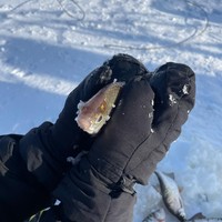 Фото отзыва 2: экскурсия "Зимняя рыбалка на кордоне Кузьмича"