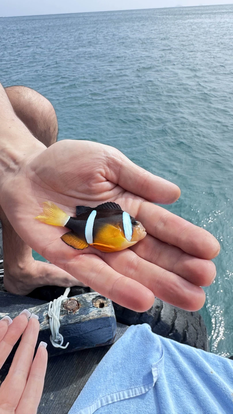 Морское путешествие в Нячанге (всё включено) (Юлия)