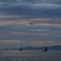 Фото отзыва 1: экскурсия "Морская прогулка «По следам дельфинов»"