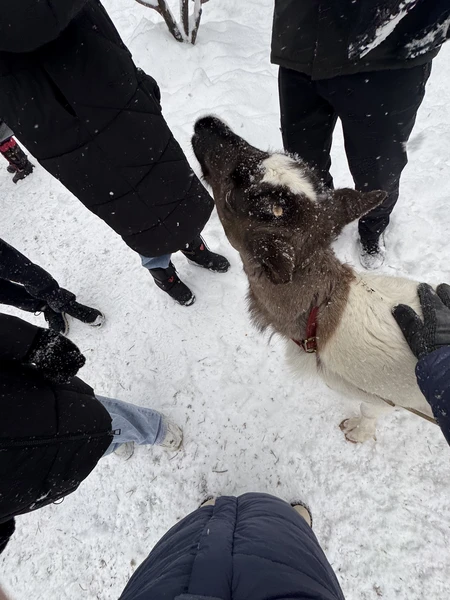 Познавательно, подробно, знающий и комфортный гид. Единственное, что могу предложить. это чуть четче обозначать время, для