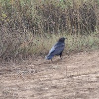 Фото отзыва 3: экскурсия "Самоцветный пояс Уральской глубинки (на вашем автомобиле)"