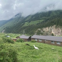 Отзыв о экскурсии "Один день красоты: каньоны Чарын и Чёрный, озёра Кольсай и Каинды" — фото 4