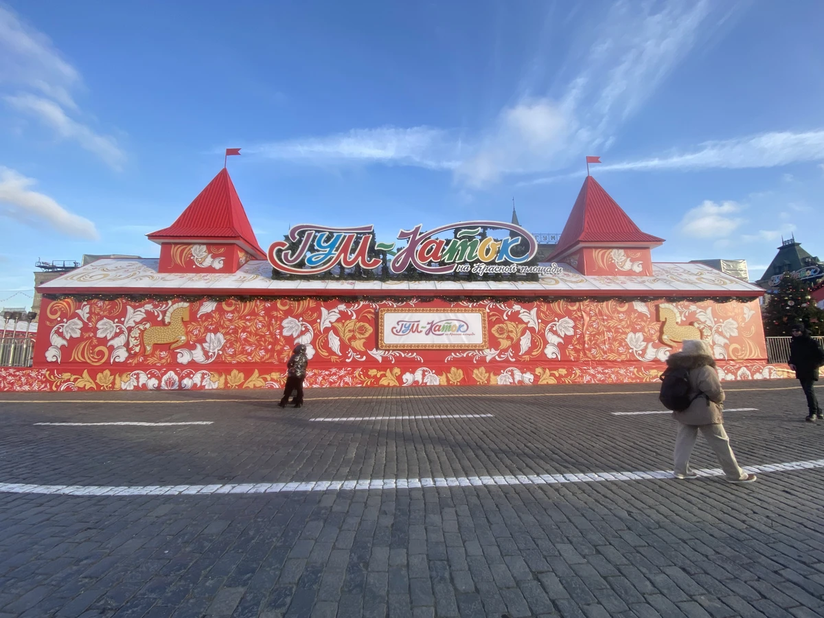 Зимний переполох в Москве (5/9)