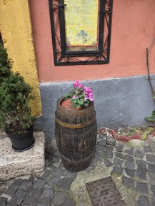 Фото отзыва 1: экскурсия ""