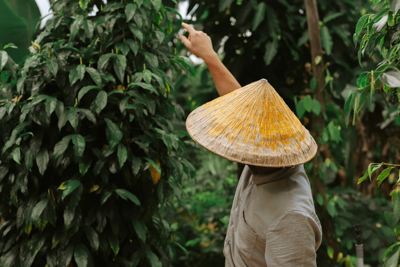 Фукуок: история, быт и ремёсла