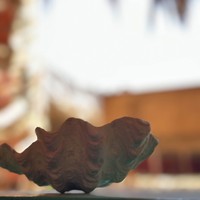 Фото отзыва 1: экскурсия "На квадроциклах в группе: сафари в Шарм-эль-Шейхе"
