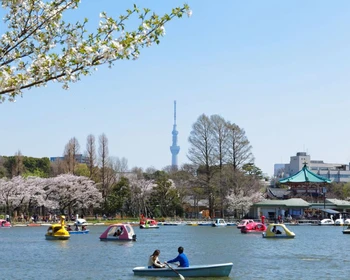 Район Асакуса, парк «Уэно» и Акихабара