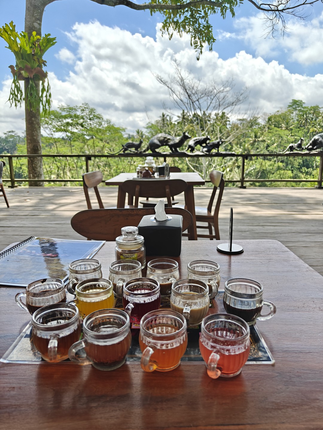 Обзорное путешествие по Бали