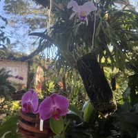 Фото отзыва 5: экскурсия "Лас Террасас и долина Виньялес – красота кубинской природы"