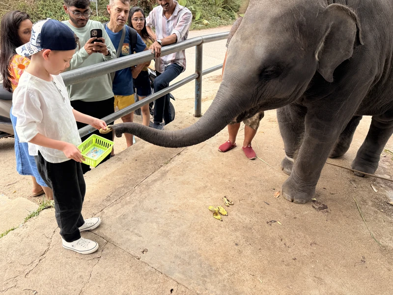 Мы провели прекрасный увлекательный день. Спасибо замечательному гиду и красивой девушке Анне-Глории за позитив и интересную