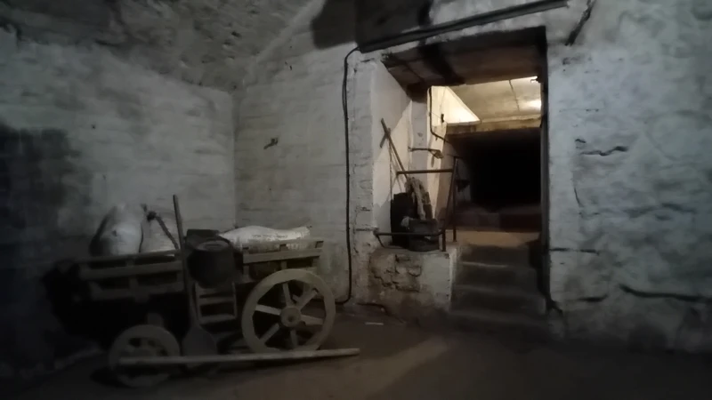 Пивное путешествие по подземельям Выборга (в группе) (Татьяна)