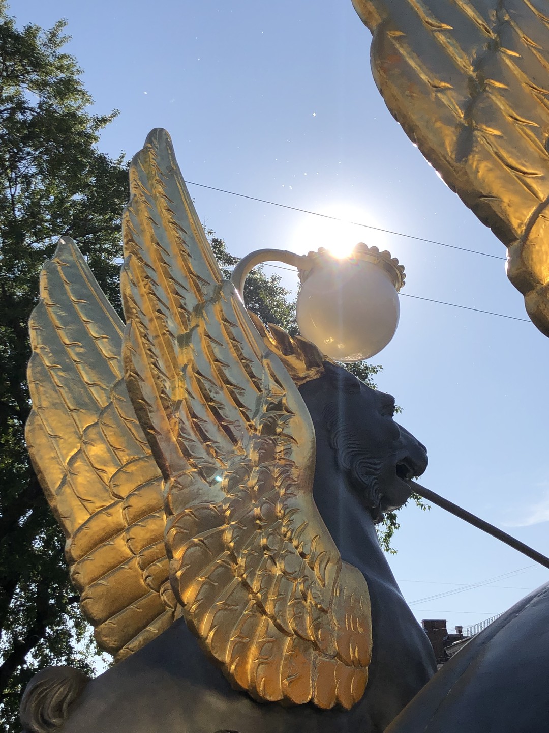 В гости к грифонам Петербурга (Мария)