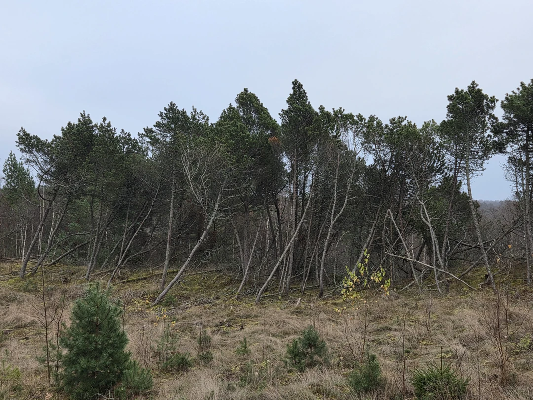 Поездка очень понравилась, прекрасная подача материала. Елена рассказала и о формировании косы, и о народах, населявших