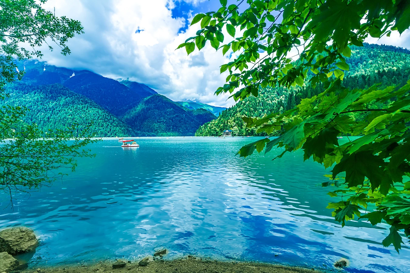 Поездка на озеро Рица — из Гагры