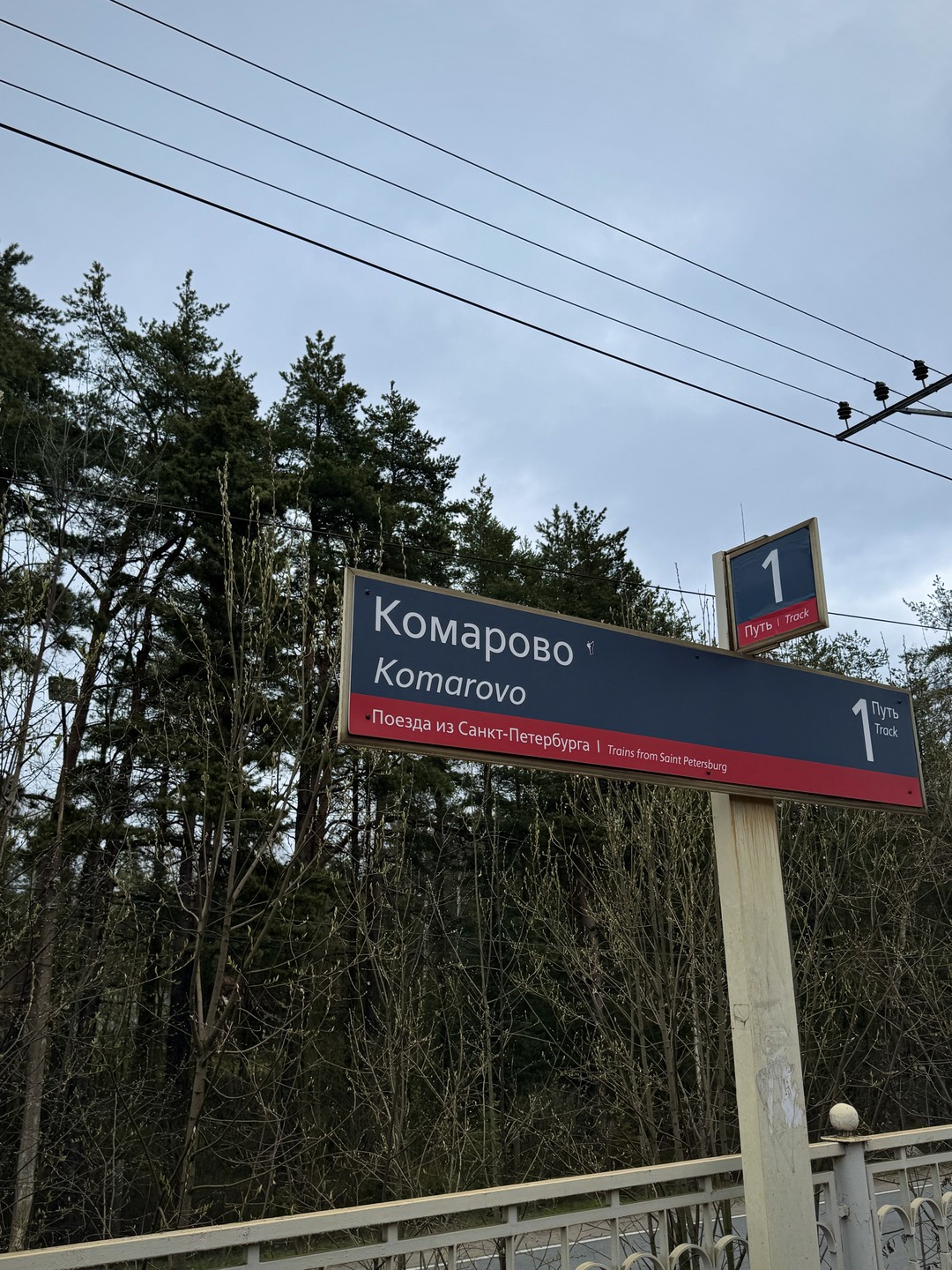 Большая прогулка по Комарово (Паша)