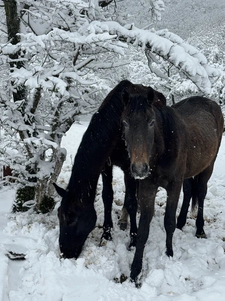 Отличная экскурсия, красивое место. Гиды - профессионалы! Спасибо большое!