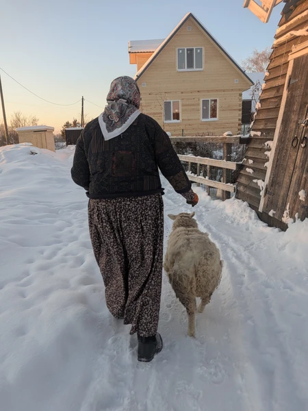 Очень понравилась атмосфера мастер-класса: монастырь рядом, много домашних животных, старинный инвентарь. Получила очень крутой опыт. Стрижка