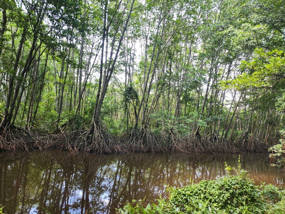 Большое спасибо Ирине за превосходную экскурсию! Это были незабывания впечатления и поездка, которую очень хочется повторить!