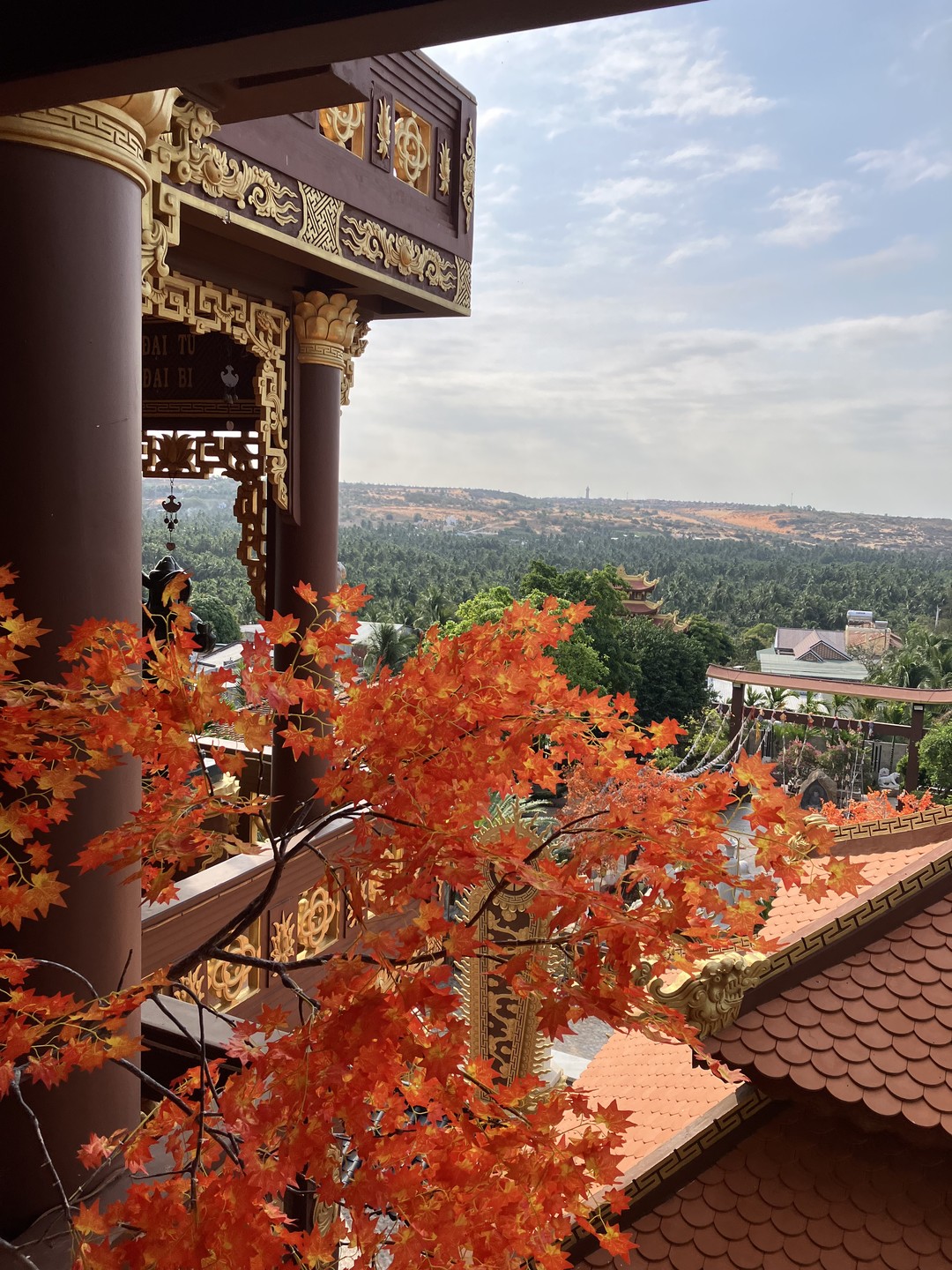 Приятное впечатление произвело и само посещаемое место (на горе Таку были впервые), и гид Александра. Понравилось