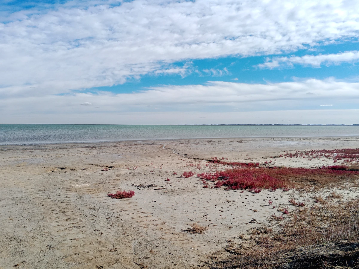 Следы на Юге: фотографии с дороги