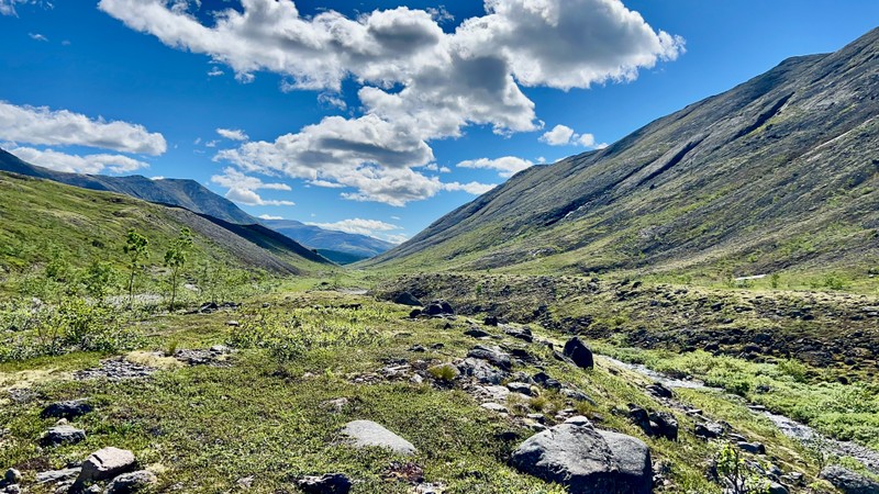 Виды Прогулка в Хибинах + экскурсия по Кировску