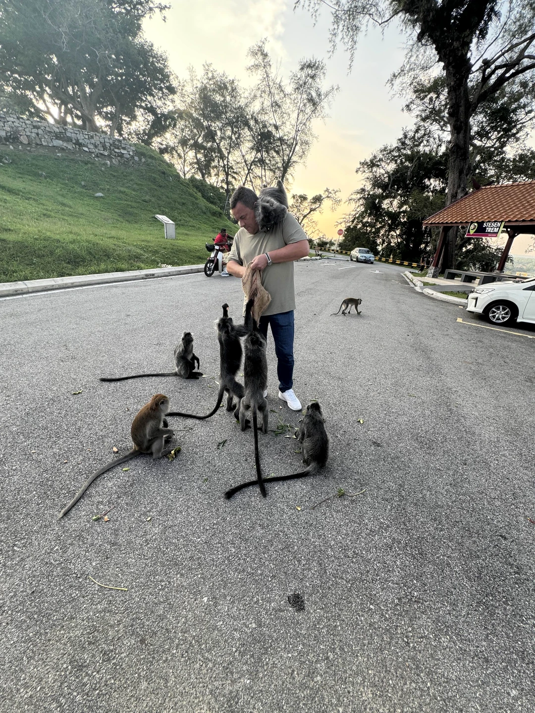 Дана, большая молодец, благодарим за знакомство с Малайзией, интересная подача информации, чуткость, забота. Обязательно рекомендуем!!!