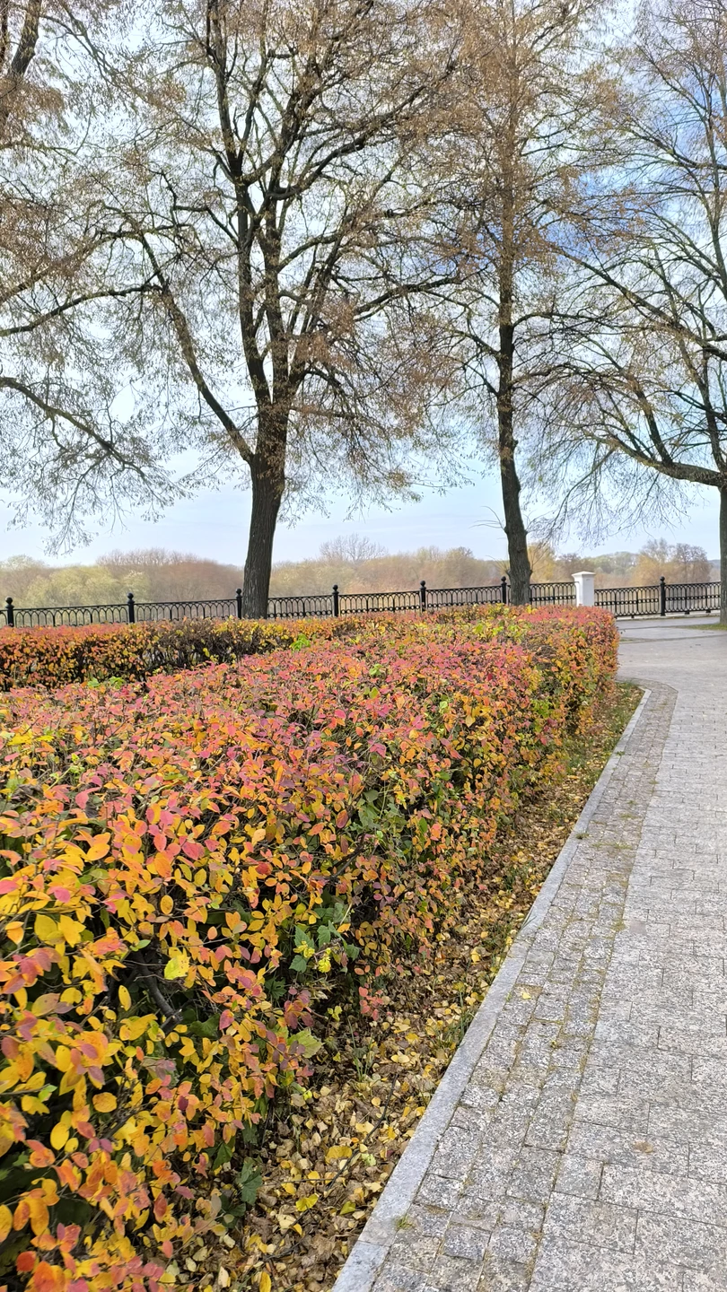 Экскурсия понравилась тем, что всё было чётко по информации - без воды, большого количества дат и