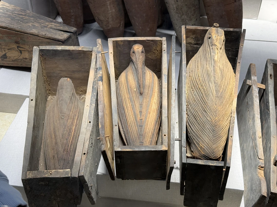 Экскурсия, в целом, понравилась. Музей произвел очень хорошее впечатление, гид рассказывал интересно, несмотря на явный языковый