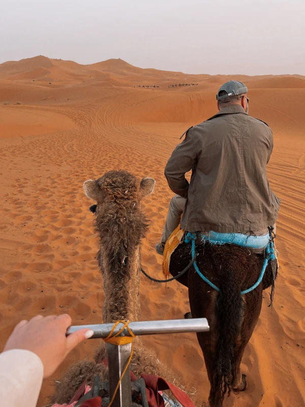 Открывая секреты Марокко: Шефшауэн, Сахара, горы и океан (с нестандартным проживанием)