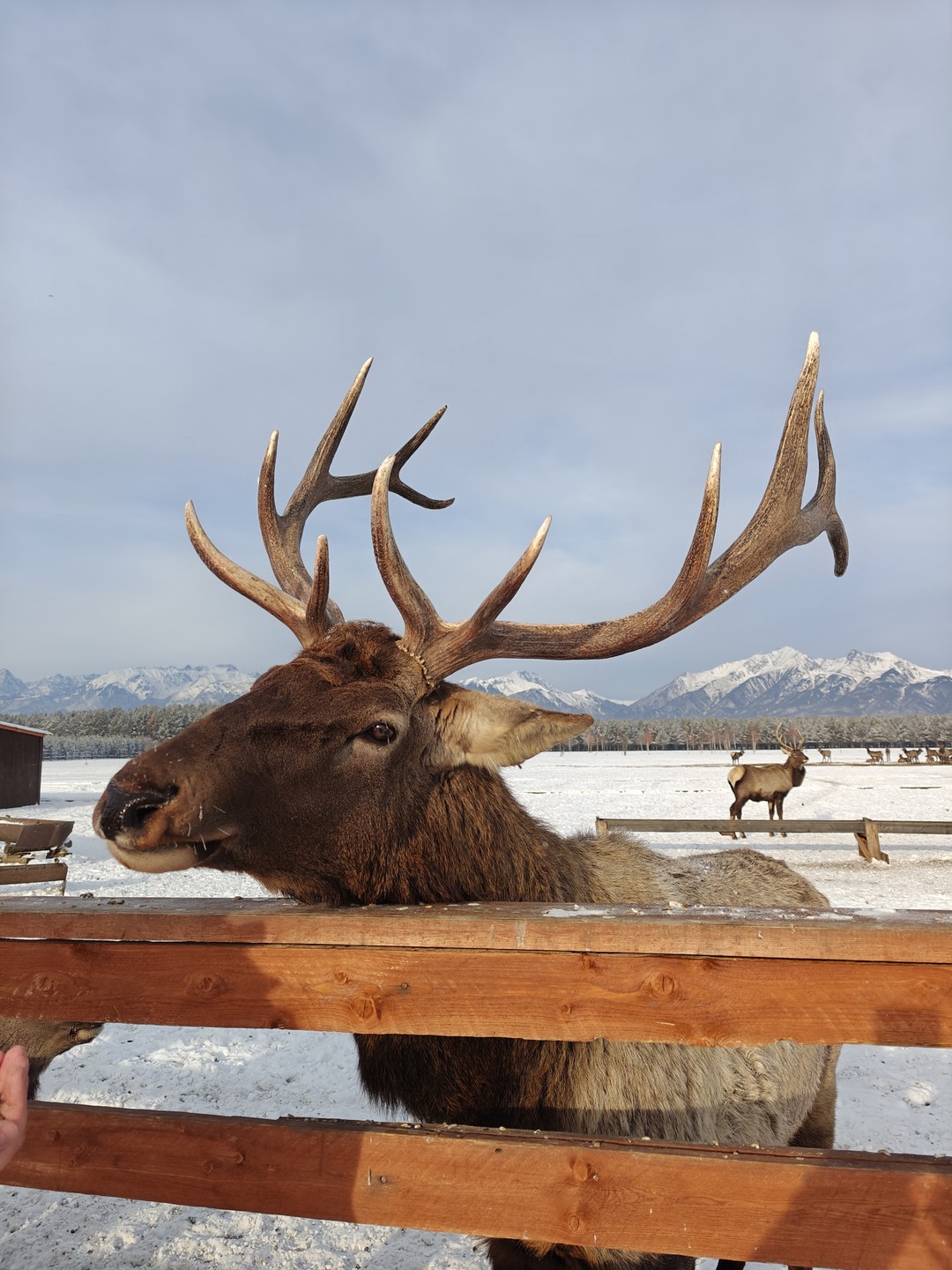 Михаил, наш гид, показал нам множество красивых и удивительных мест: мы налюбовались видами на залив Култук