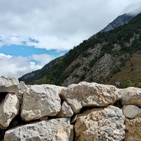 reviews img
