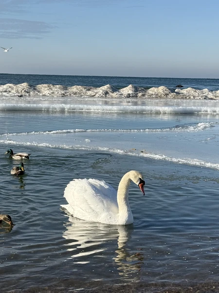 Огромное спасибо Регине за интересную экскурсию! Ездили вдвоем с дочерью. Информации масса. Посетили все места, которые