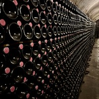 Фото отзыва 2: экскурсия "Русский винный дом «Абрау-Дюрсо» и дегустация тихих вин (всё включено) 18+"