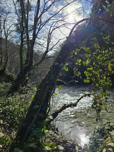 впечатления прекрасные. За 3часа,недалеко от города такое волшебное место. Конечно да,конечно стоит ехать