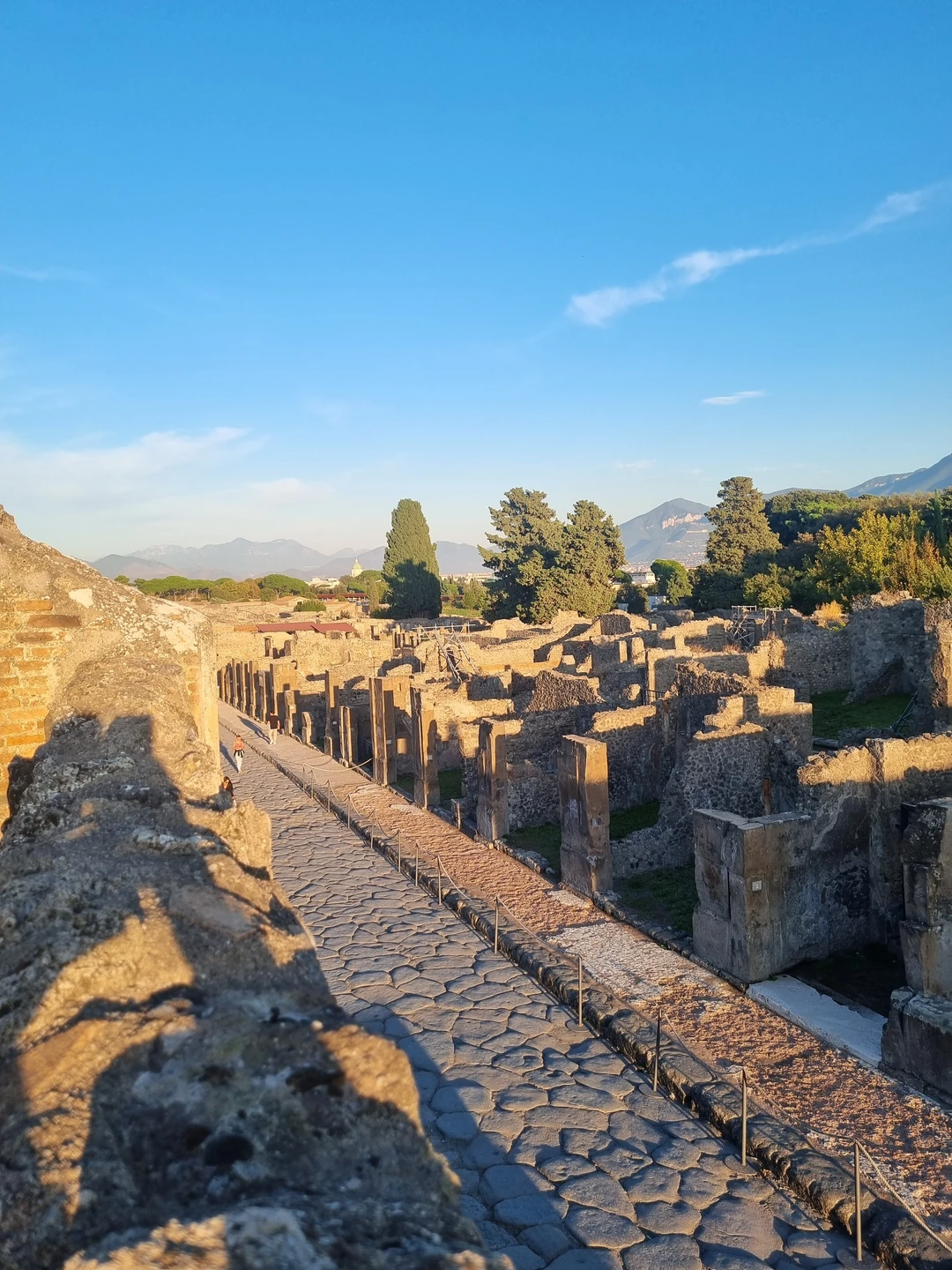 Эллина провела для нас потрясающую экскурсию! Очень понравился подход к организации прогулки и структурированию материала, произошло