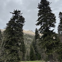 Фото отзыва 3: экскурсия "Домбай: экскурсия-конструктор"