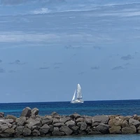 Фото отзыва 2: экскурсия "Сейшелы, которым есть чем удивить"