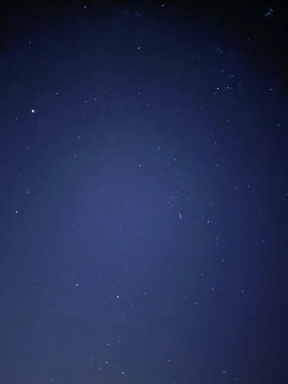 Хотим поблагодарить Ирину за организацию нашей прогулки на верблюдах в пустыню в Хургаде