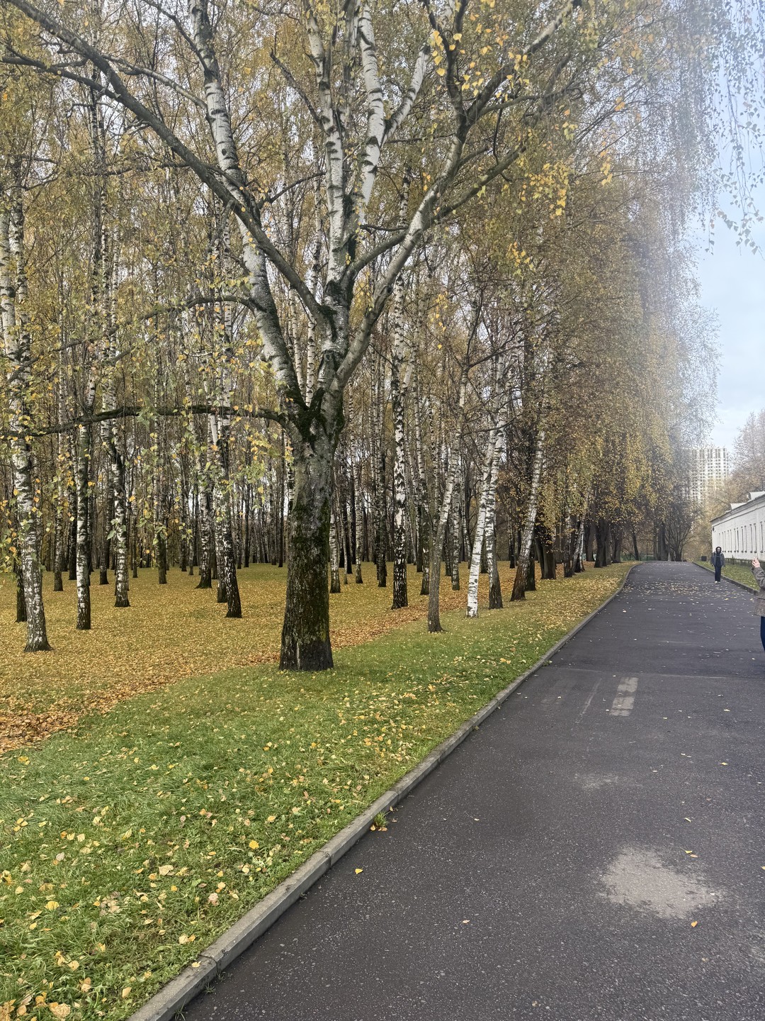 Отличный экскурсовод, рассказывает очень увлекательно, живо, было интересно и полезно, узнала много интересного об Измайлово и