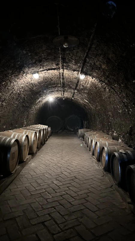 Сремски Карловцы - самый обаятельный город Сербии (из Белграда)