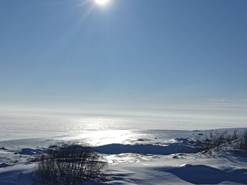 Замечательная экскурсия по Куршской косе! Отдельный восторг — наш гид Святослав. Такого заряда энергии и любви