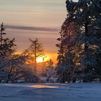 Фото отзыва 3: экскурсия "Фотоэкспедиция «Сказка Южного Заполярья»"
