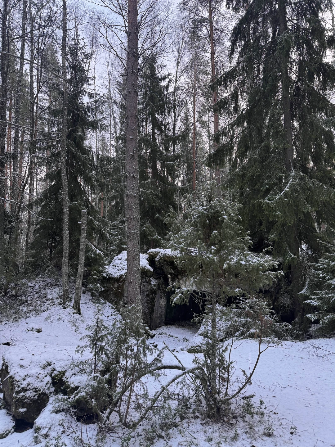 По тропам линии Маннергейма: подземные бункеры в карельских лесах (Agata)