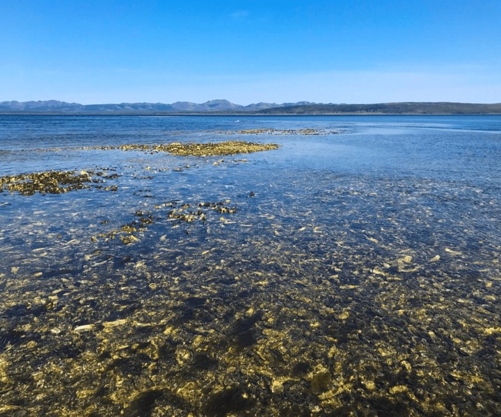 Гастрономическая групповая экскурсия в лагуну Буссе