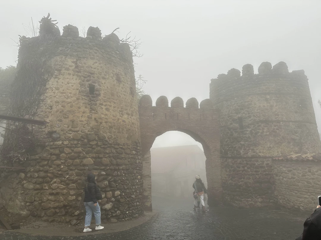 Винное приключение по Кахетии: Сигнахи, монастырь Бодбе, Телави (Софья)