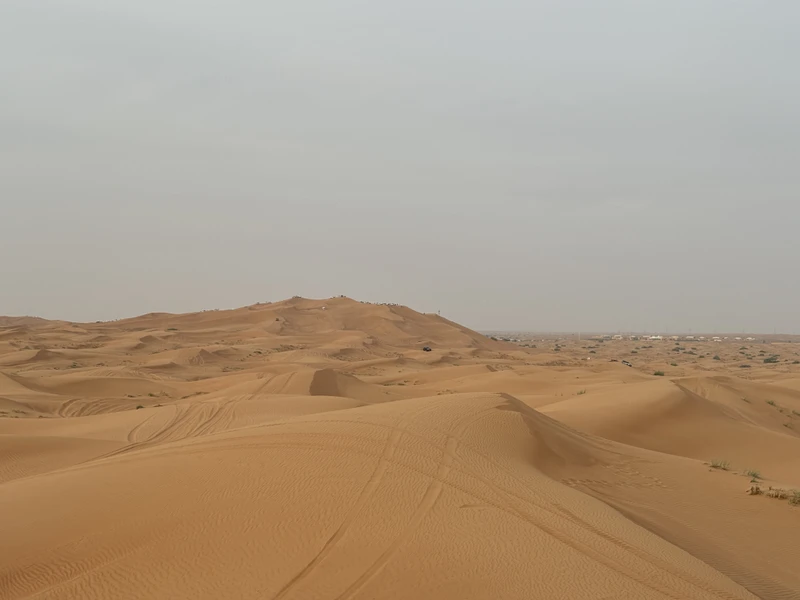 Шикарнейшая экскурсия, огромное количество впечатлений! Как все стараются- организатор Анастасия отвечает на все вопросы, водитель делает