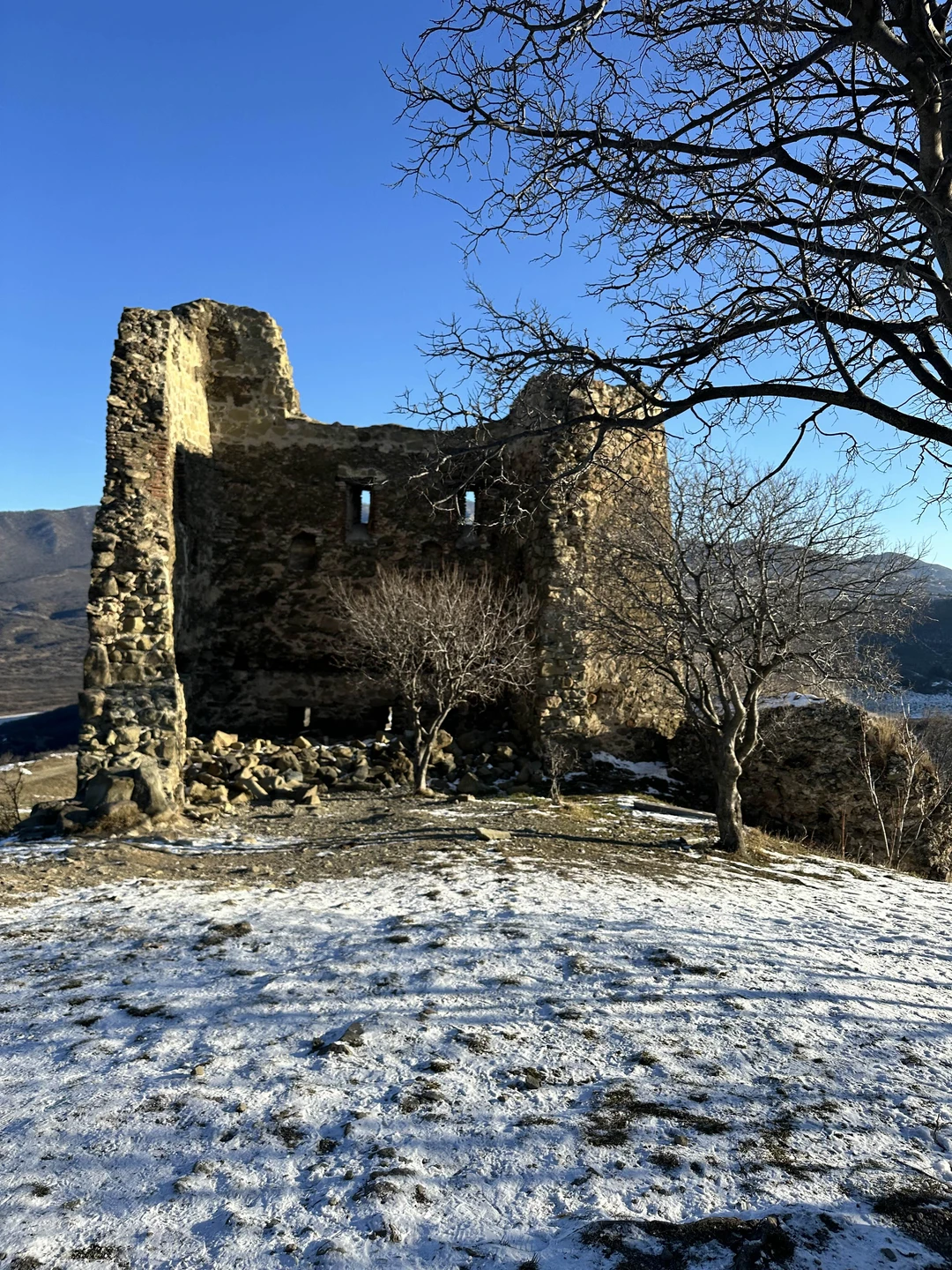 Древняя Мцхета, пещерный город Уплисцихе и дом-музей Сталина за 1 день (из Тбилиси) (Ирина)