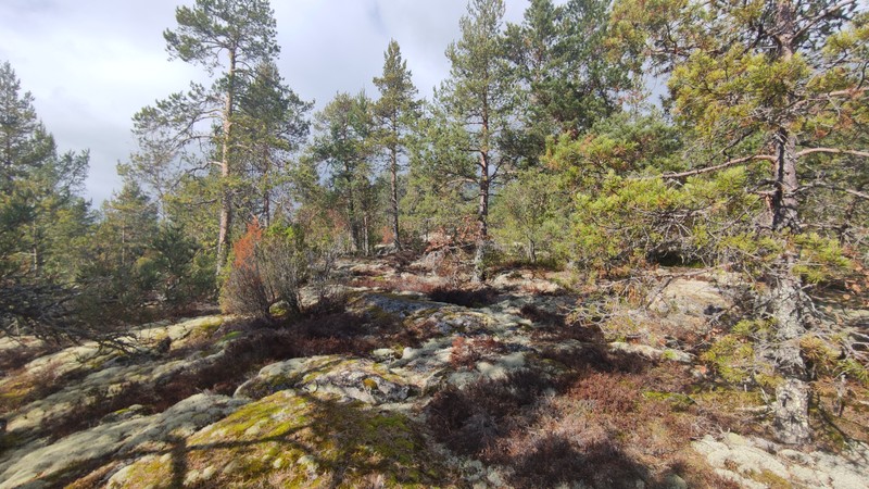 Место силы Карелии